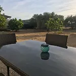 The Farm Tiny House - Tiny Casa *